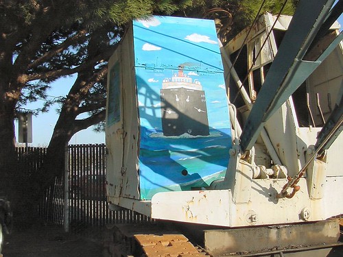 Self propelled crane