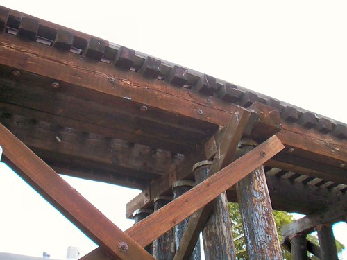 Picture017